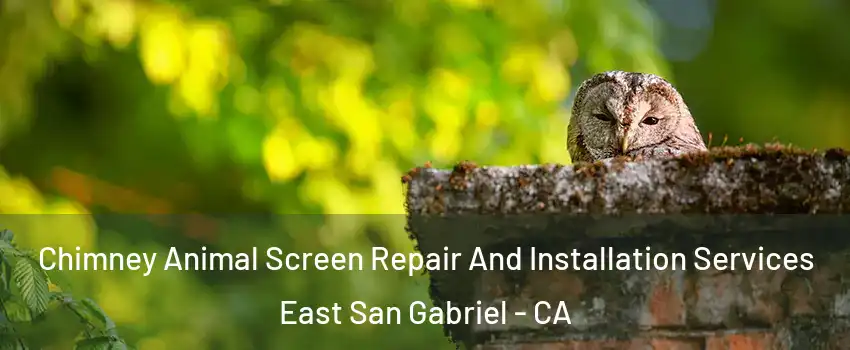  Chimney Animal Screen Repair And Installation Services East San Gabriel - CA